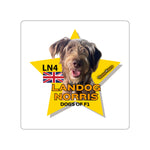 Landog Norris from Dogs of F1 (By It's Beegee) Die-Cut Stickers