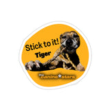 Tiger (By It's Beegee) Die-Cut Stickers